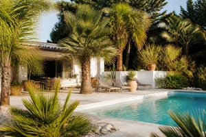 Piscine entourée de palmiers de Chine et palmiers nains sur une terrasse en pierre claire