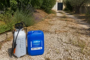 Allée de jardin avec mauvaises herbes brûlées et bidon d'AdBlue posé au sol