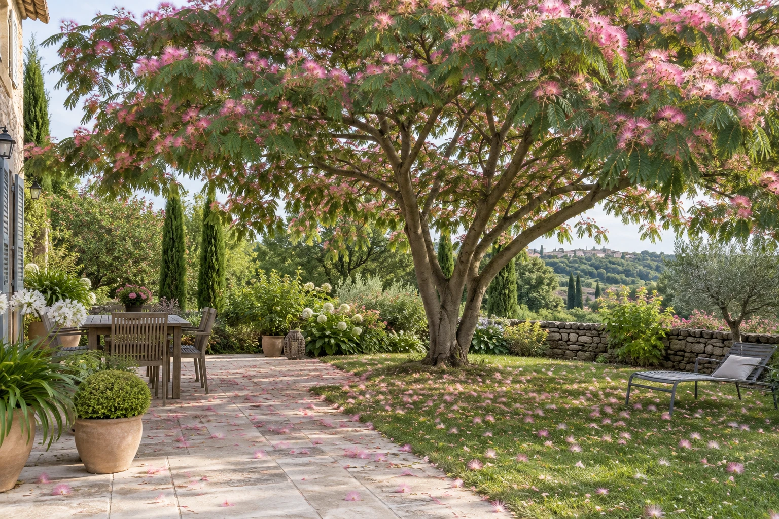 Albizia : les inconvénients à connaître avant de planter